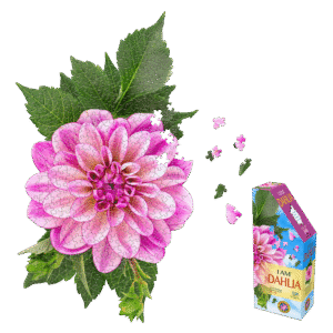 Madd Capp Floral Dahlia Jigsaw Puzzle - 350 pc