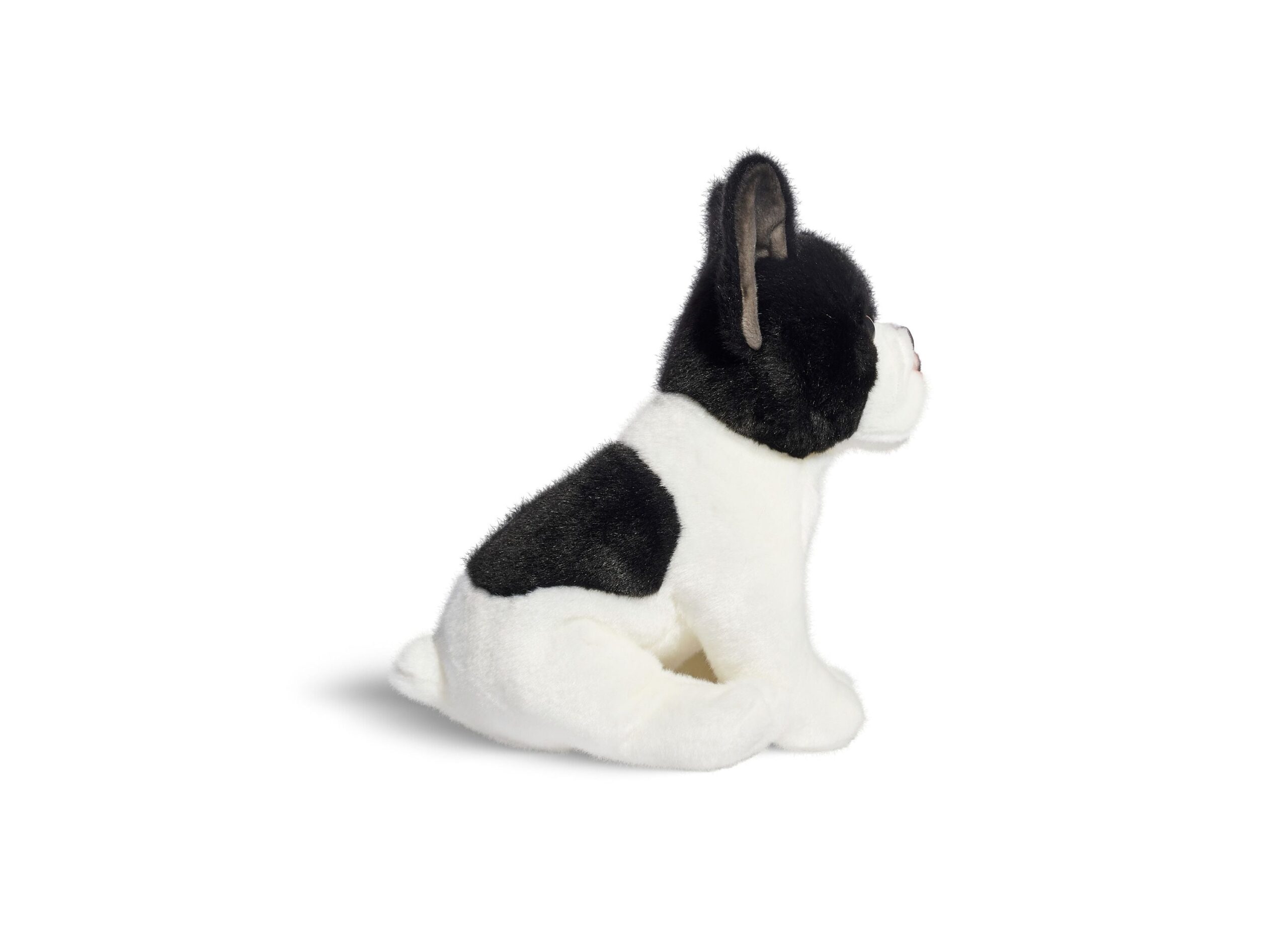 Geoffrey's Toy Box 10 inch Plush French Bulldog Puppy - Exclusive at Macy's - Image 5