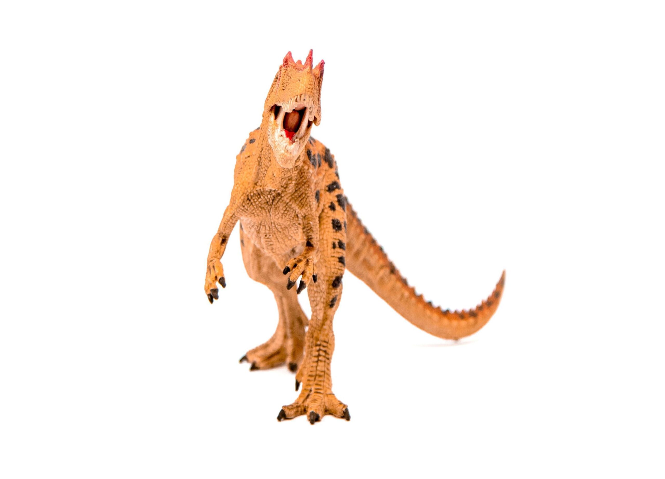 Schleich DINOSAURS Ceratosaurus Detailed Action Figure - Image 4