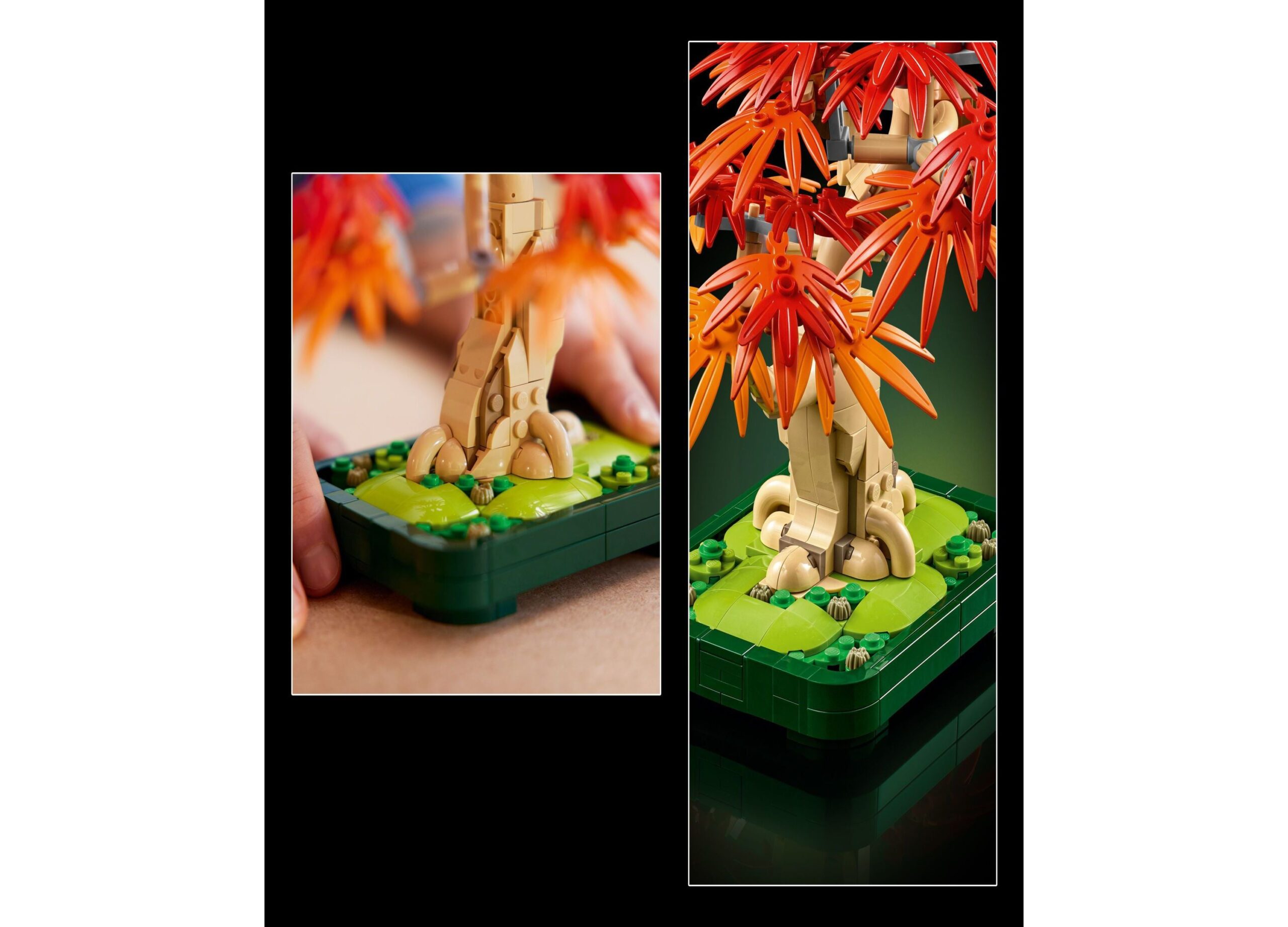 LEGO Botanicals Japanese Red Maple Bonsai 474-Piece Building Set - Model 10348 - Image 2