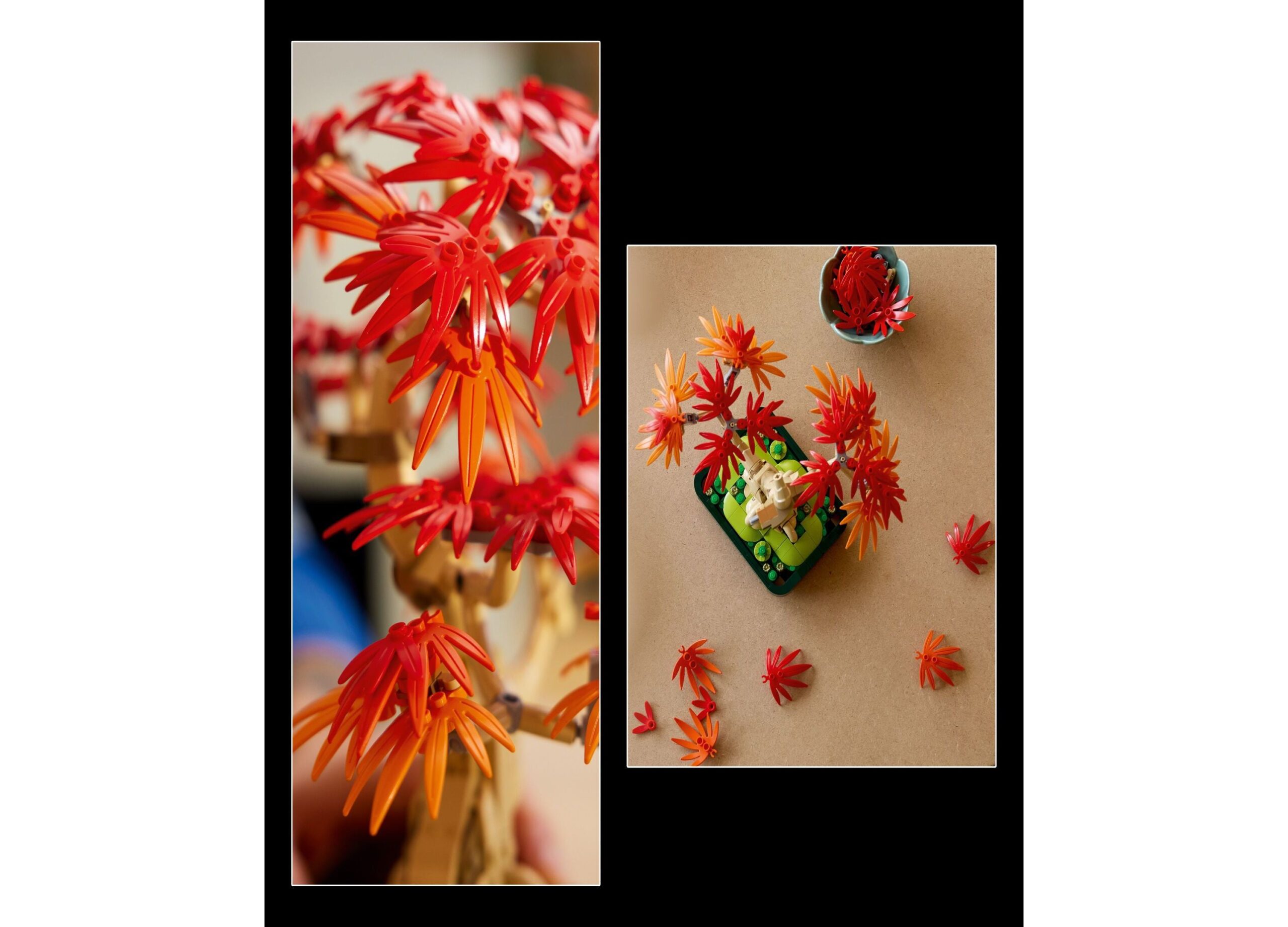LEGO Botanicals Japanese Red Maple Bonsai 474-Piece Building Set - Model 10348 - Image 5