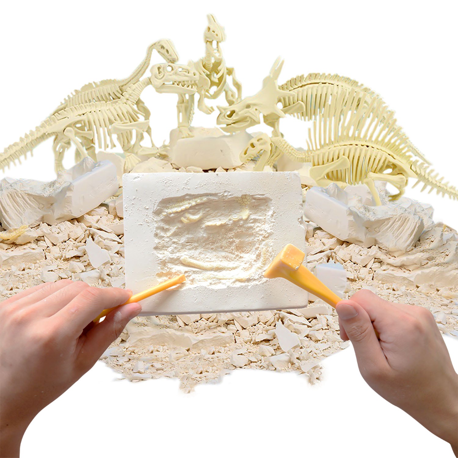 HamiltonBuhl Velociraptor Rex Paleo Hunter Dig Kit - STEAM Education Set - Image 5