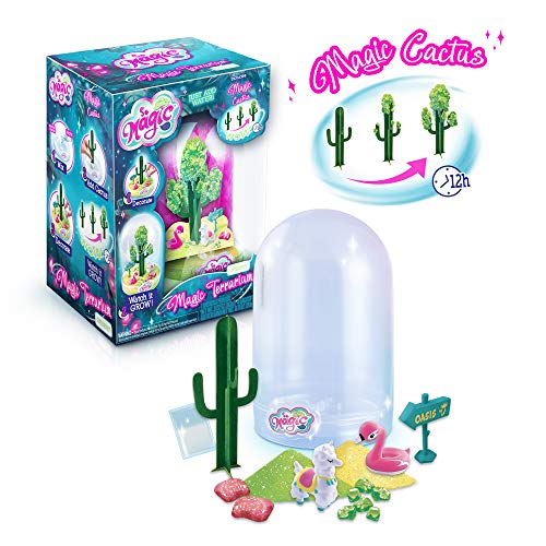 So Magic DIY Magic Desert Terrarium Kit ?C Large - Image 2