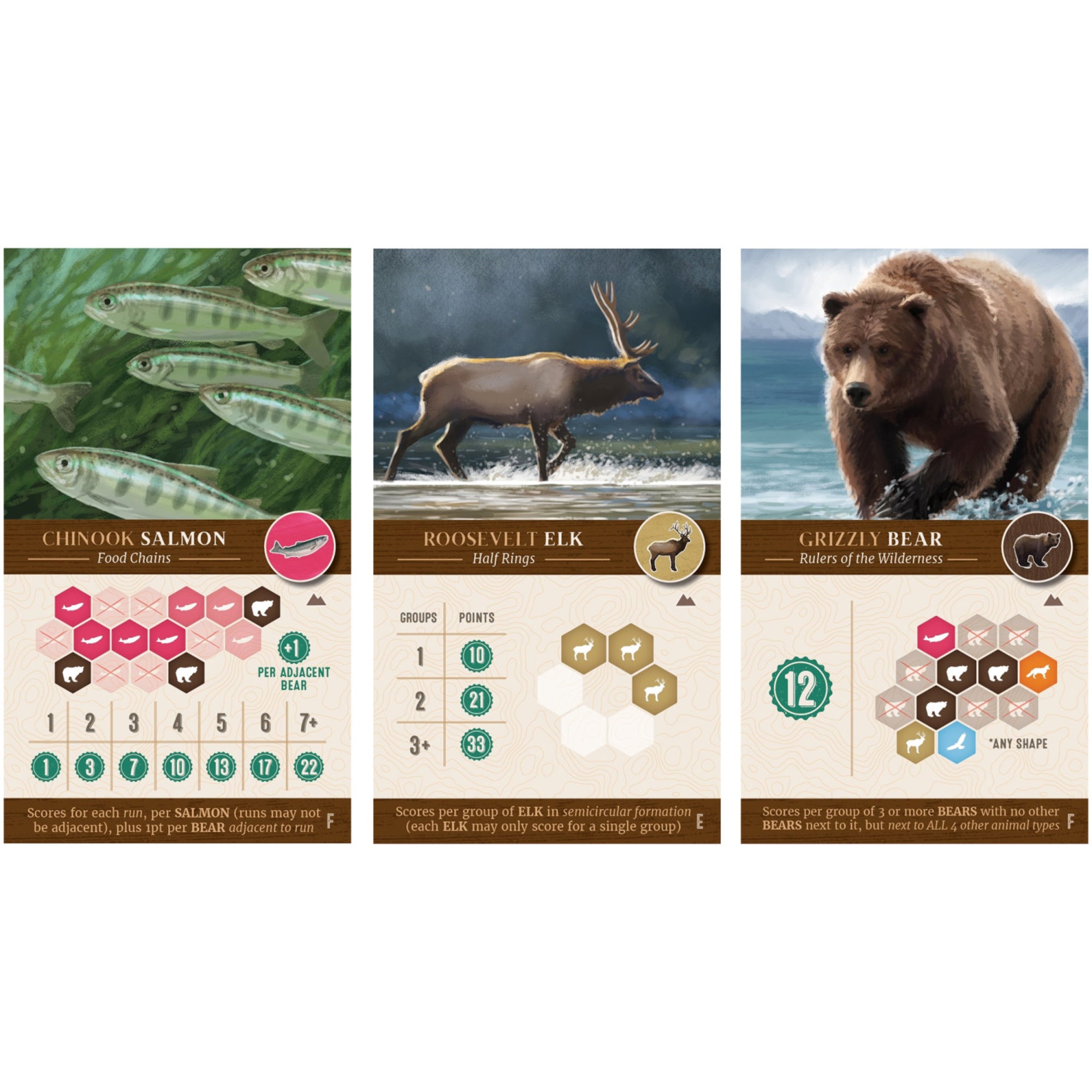 Cascadia Landmarks Expansion Board Game - Puzzle & Tile Placement - Image 5