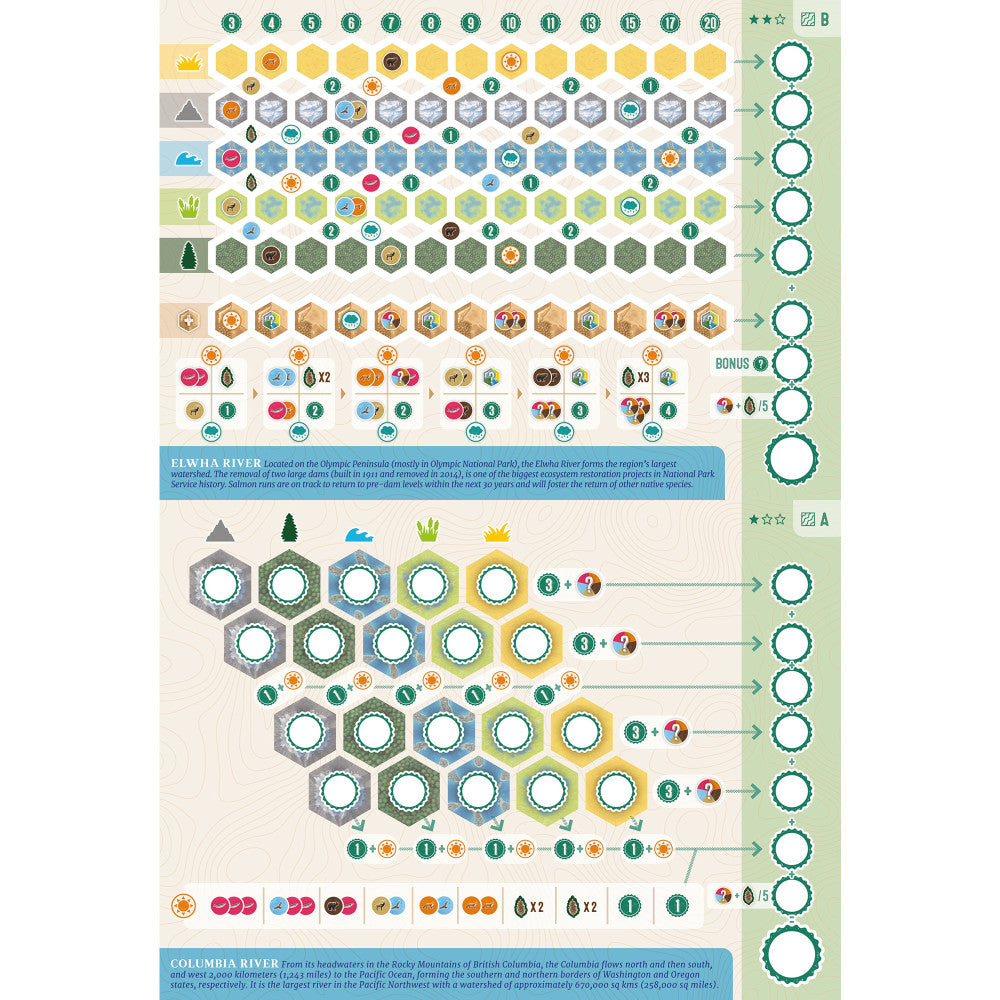 AEG: Cascadia: Rolling Rivers - Dynamic Dice Habitat Game - Image 4