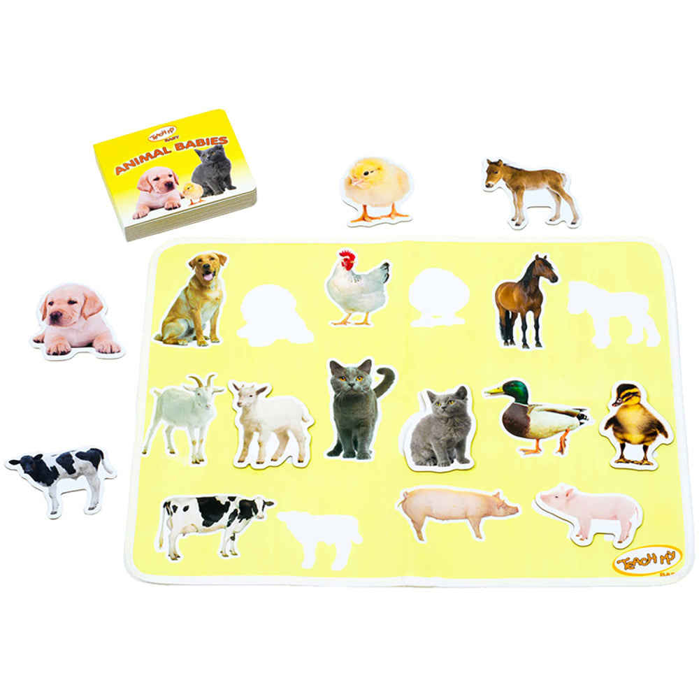 Teach My Baby Learning Kit - Baby - Multi-Sensory Development Set - Image 8