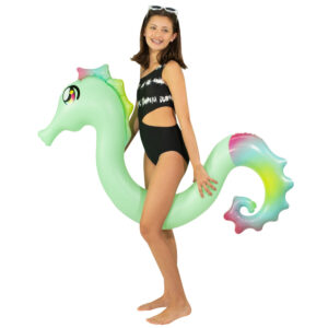 PoolCandy Multicolor Seahorse Ride-On Pool Noodle
