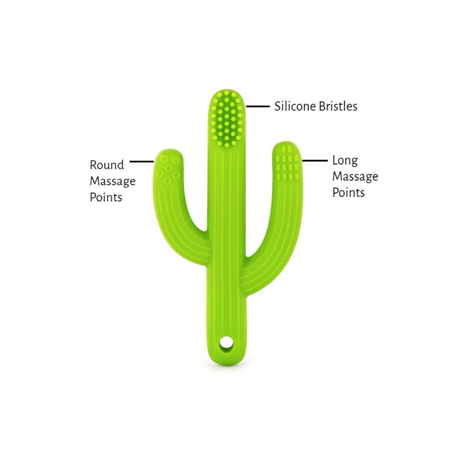 The Pencil Grip Cactus Toothbrush Teether Trio - Image 4