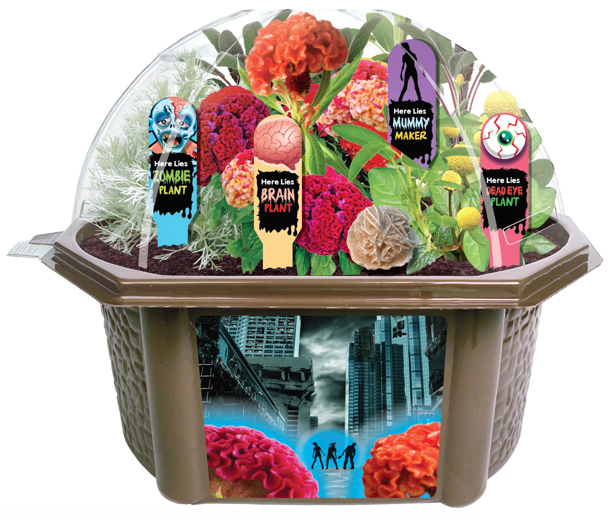 Toys By Nature Zombie Apocalypse Biosphere Terrarium Kit ???? House of Horrors
