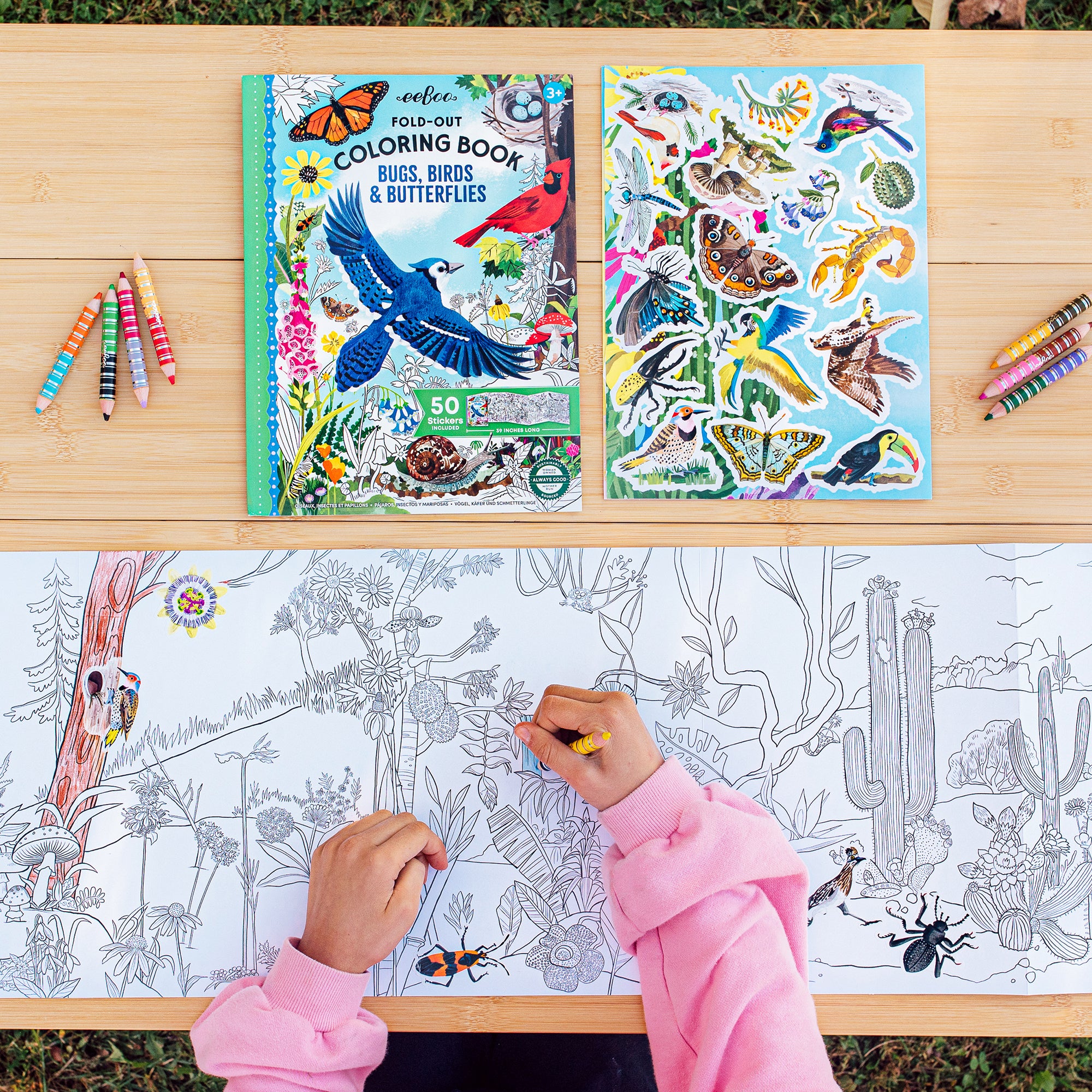 eeBoo Bugs, Birds & Butterflies Fold-Out Coloring Book with 50 Stickers, 39" Space - Image 5