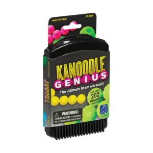 Kanoodle Genius Advanced Puzzle Game